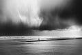 Storm is coming Poster och Canvastavla