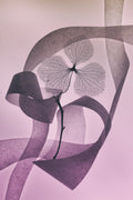 Graceful Poster och Canvastavla