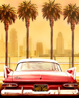 PLYMOUTH SAVOY WITH PALMS Poster och Canvastavla