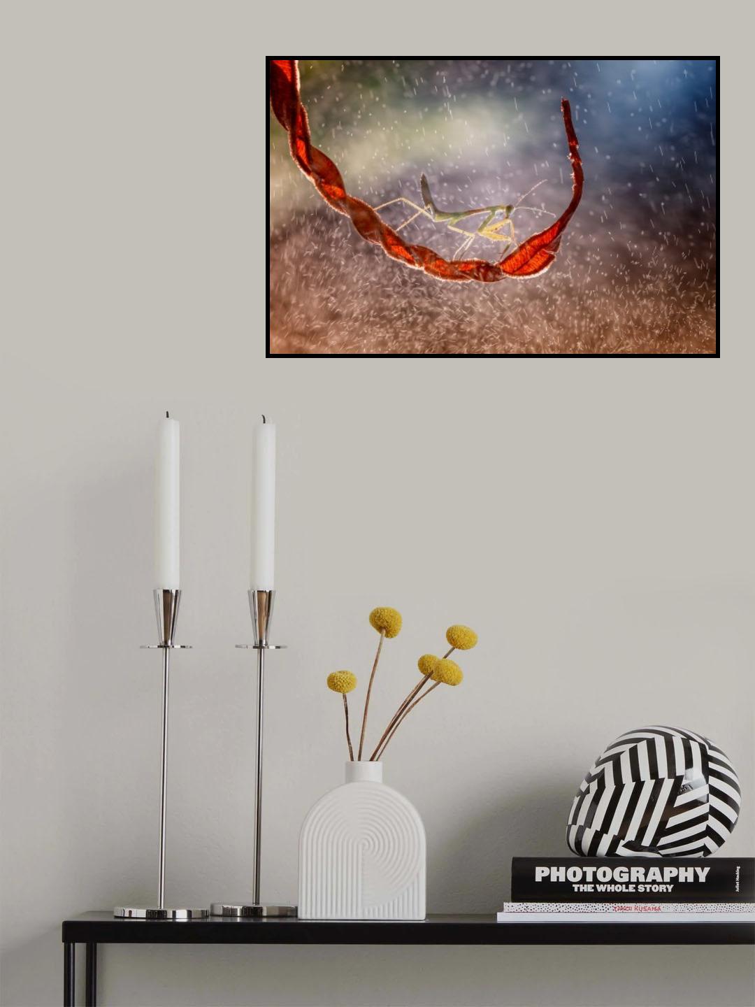 rain day Poster och Canvastavla