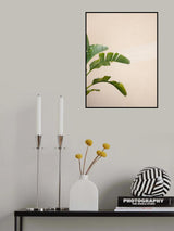 Cannes Banana Plant Poster och Canvastavla