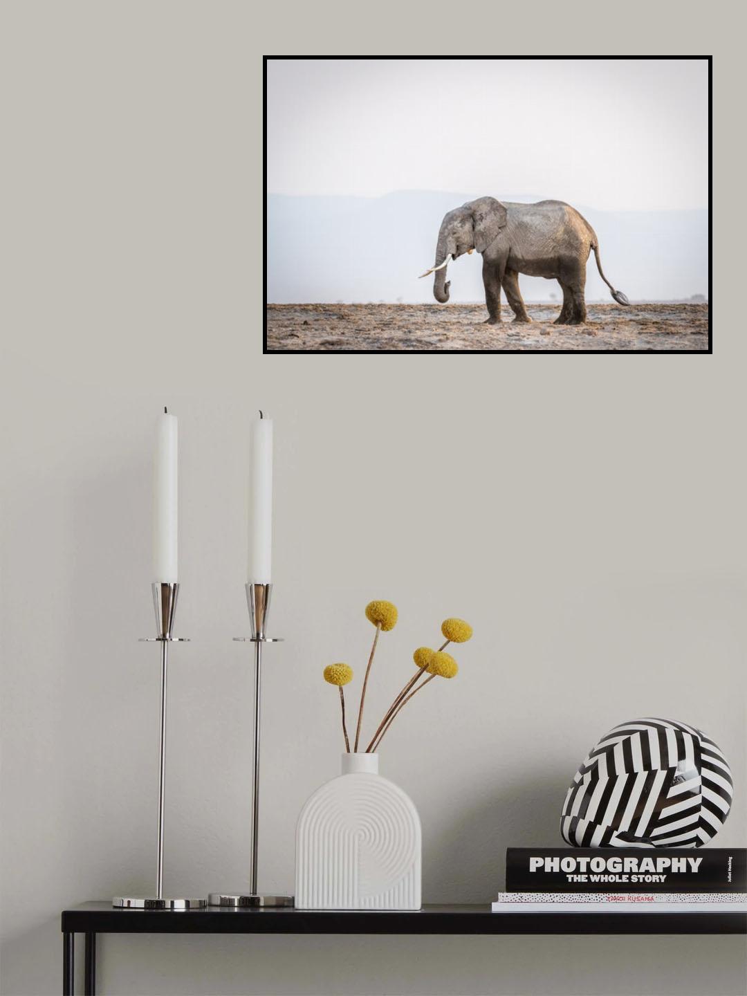 Monochromatic color #2 Poster och Canvastavla