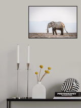 Monochromatic color #2 Poster och Canvastavla