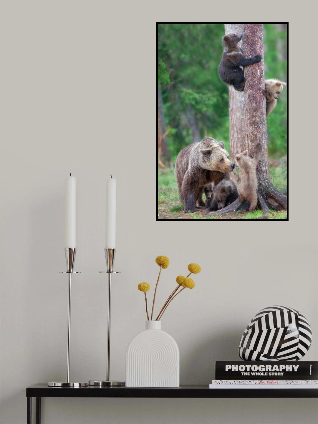 Bears Kindergarten Poster och Canvastavla