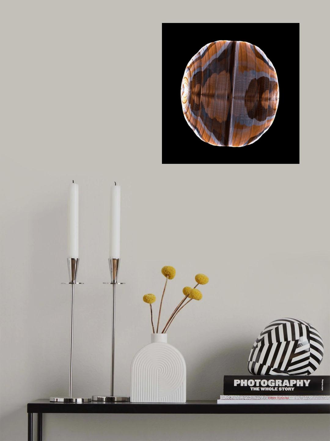 Planet Wood Poster och Canvastavla