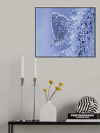 Christmas butterfly... Poster och Canvastavla