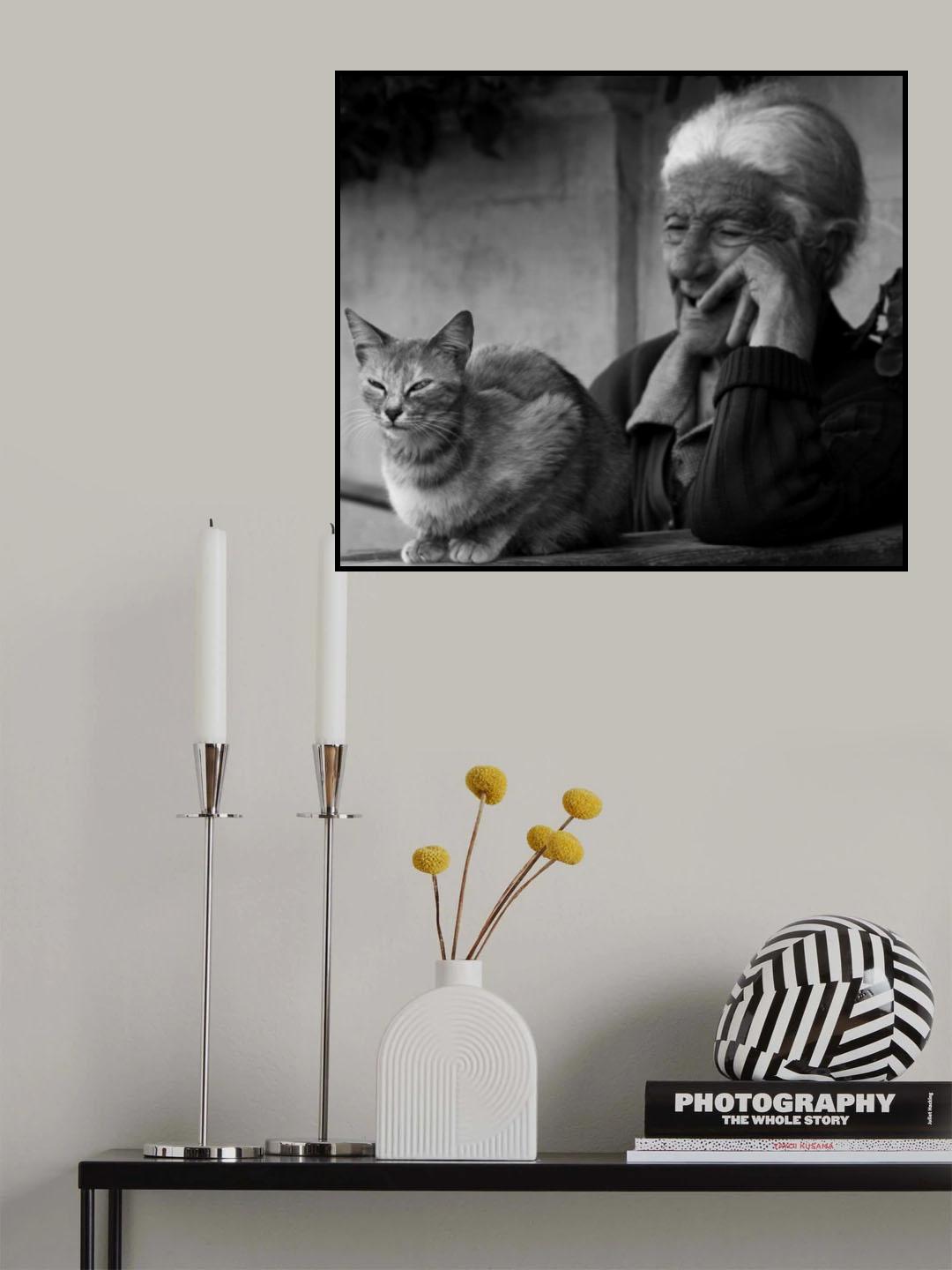 Old woman with cat in Goz Poster och Canvastavla