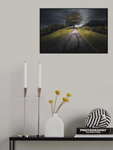 Empty Echoes Poster och Canvastavla