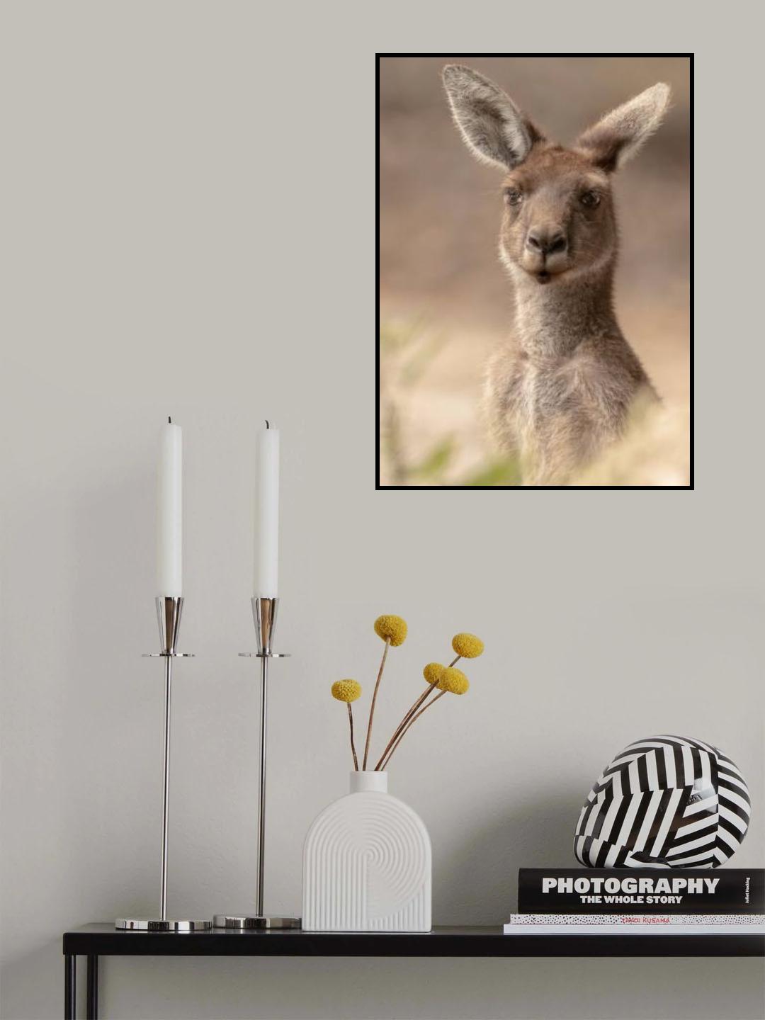 The beautiful Roo Poster och Canvastavla