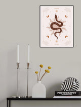 Snake Transform Poster och Canvastavla