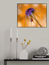 Climbing to my little paradise... Poster och Canvastavla