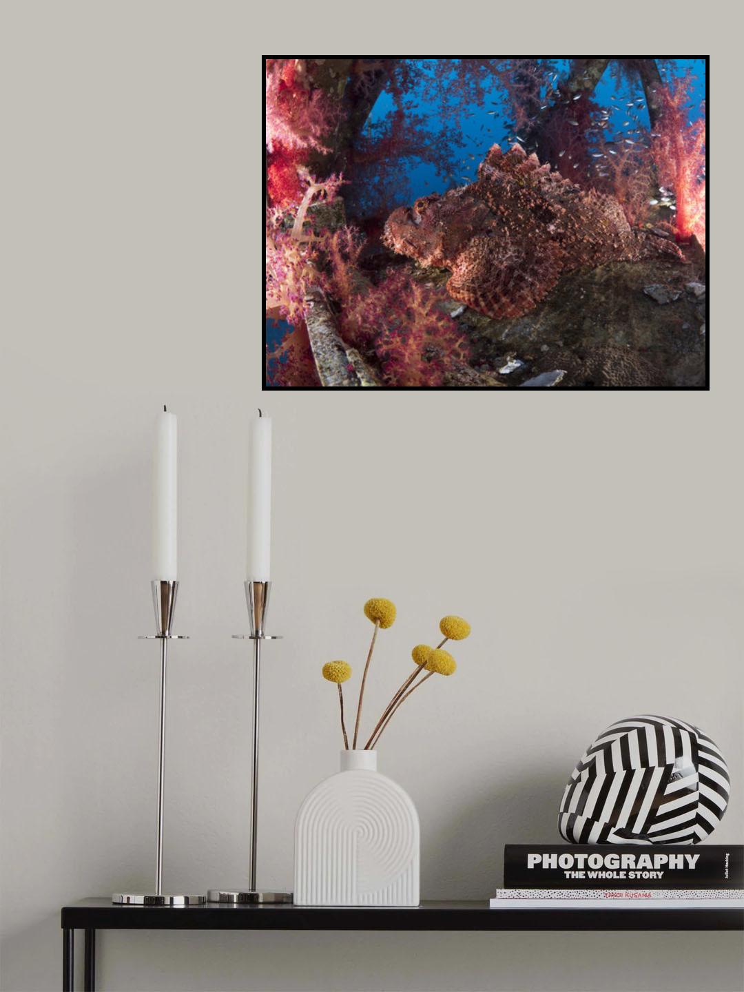 Scorpionfish Poster och Canvastavla