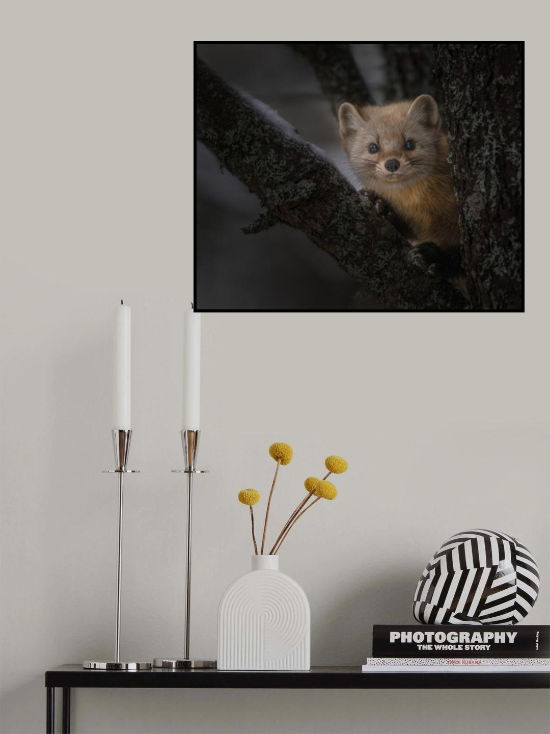 Hide and Seek Poster och Canvastavla