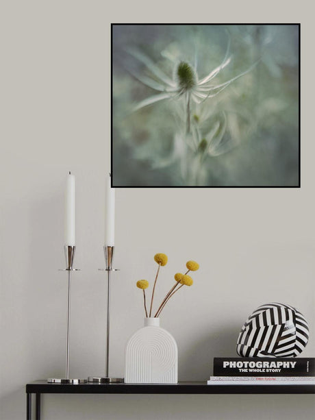 Teasel Poster och Canvastavla