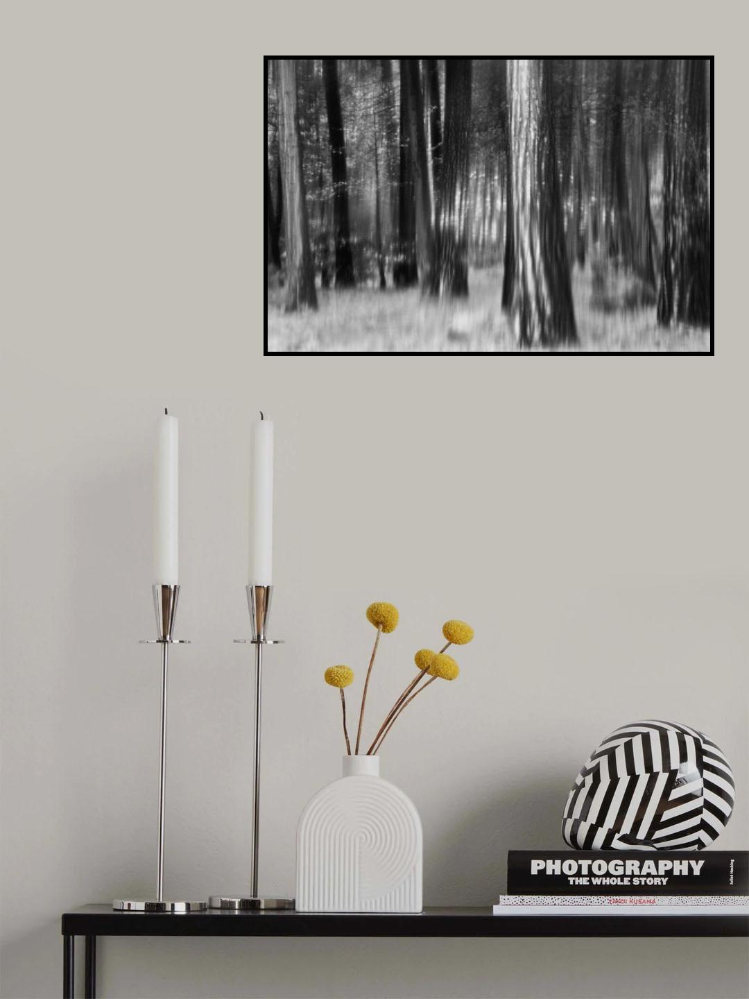 Distant Dogwoods in BW Poster och Canvastavla