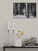 Distant Dogwoods in BW Poster och Canvastavla