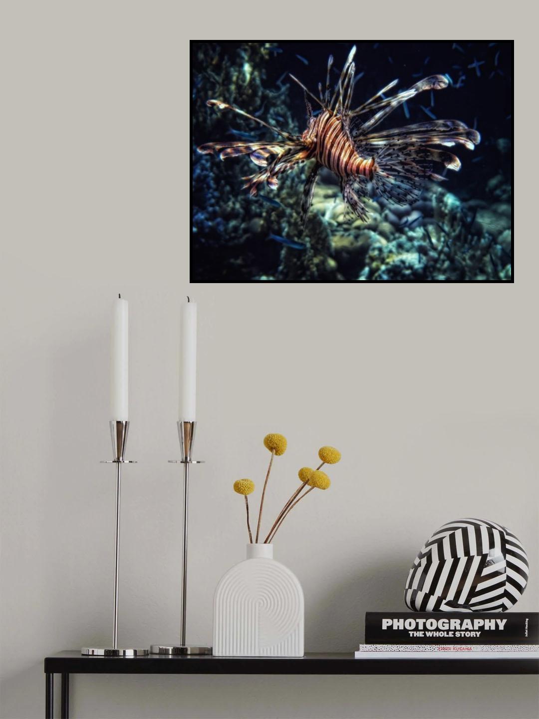 Red sea flower Poster och Canvastavla