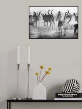 Biblical Poster och Canvastavla