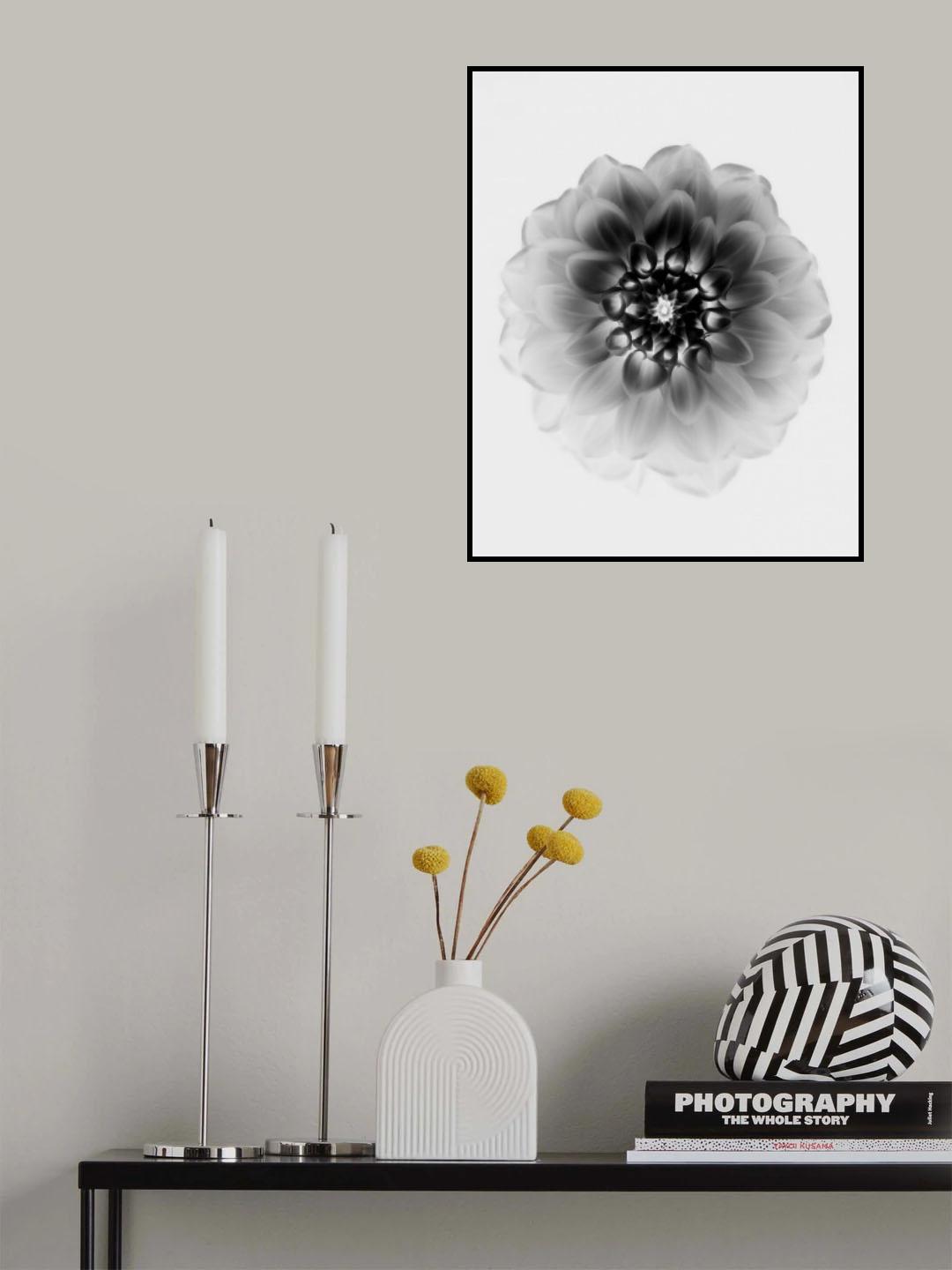 X-Ray Poster och Canvastavla
