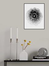 X-Ray Poster och Canvastavla