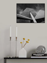 Reaching for the sky Poster och Canvastavla