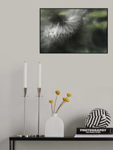 ready to go Poster och Canvastavla