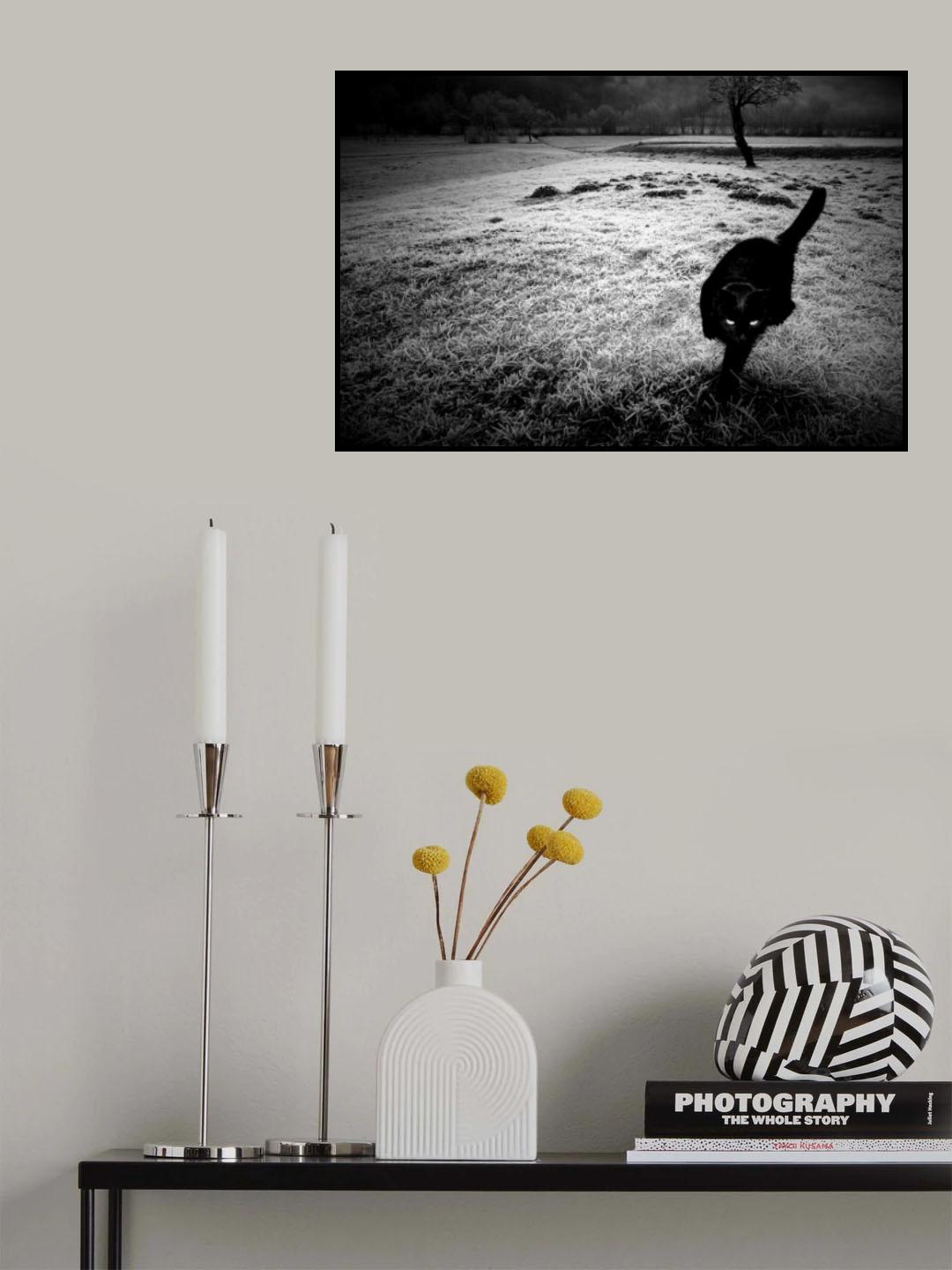 sneaking Poster och Canvastavla