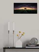 Milky way over lonely tree Poster och Canvastavla