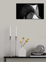 Shadow Poster och Canvastavla