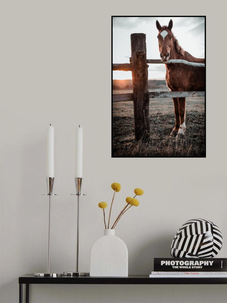 Horse Farm in Skároš, Slovakia Poster och Canvastavla