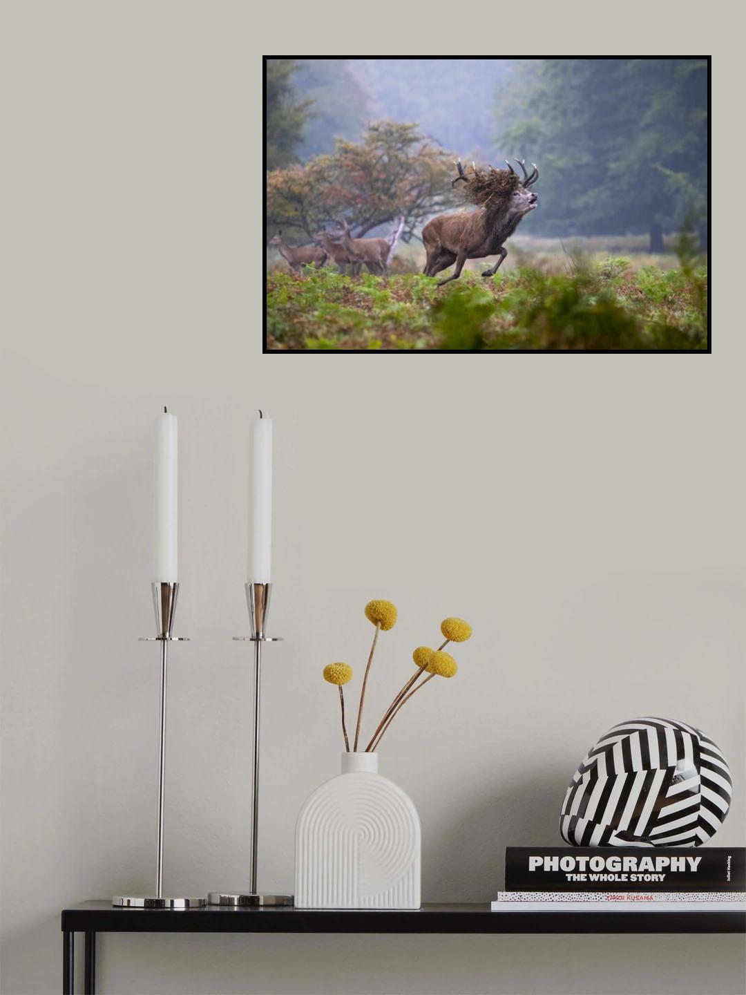 The race of the king Poster och Canvastavla