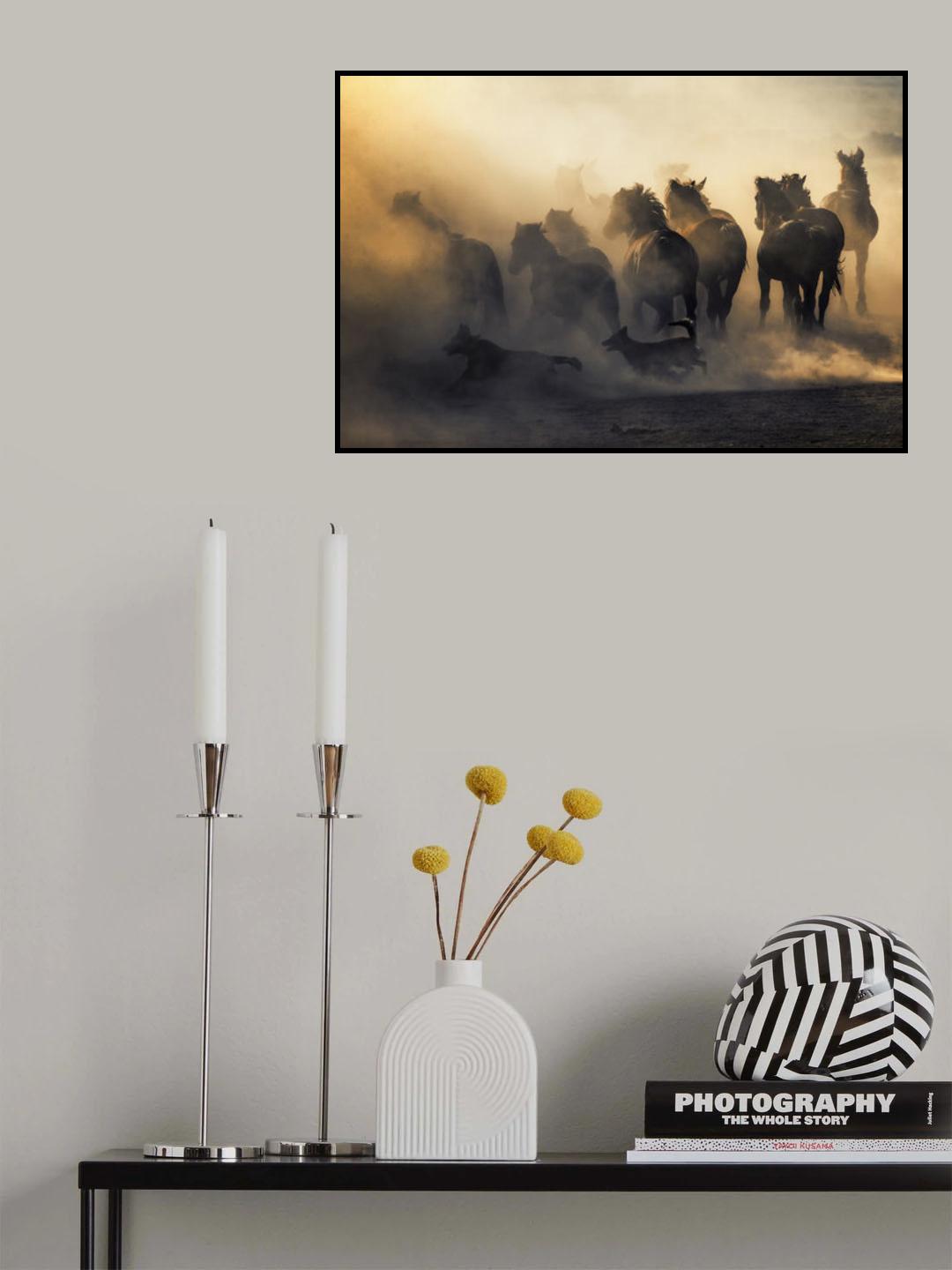 Yılkı Poster och Canvastavla