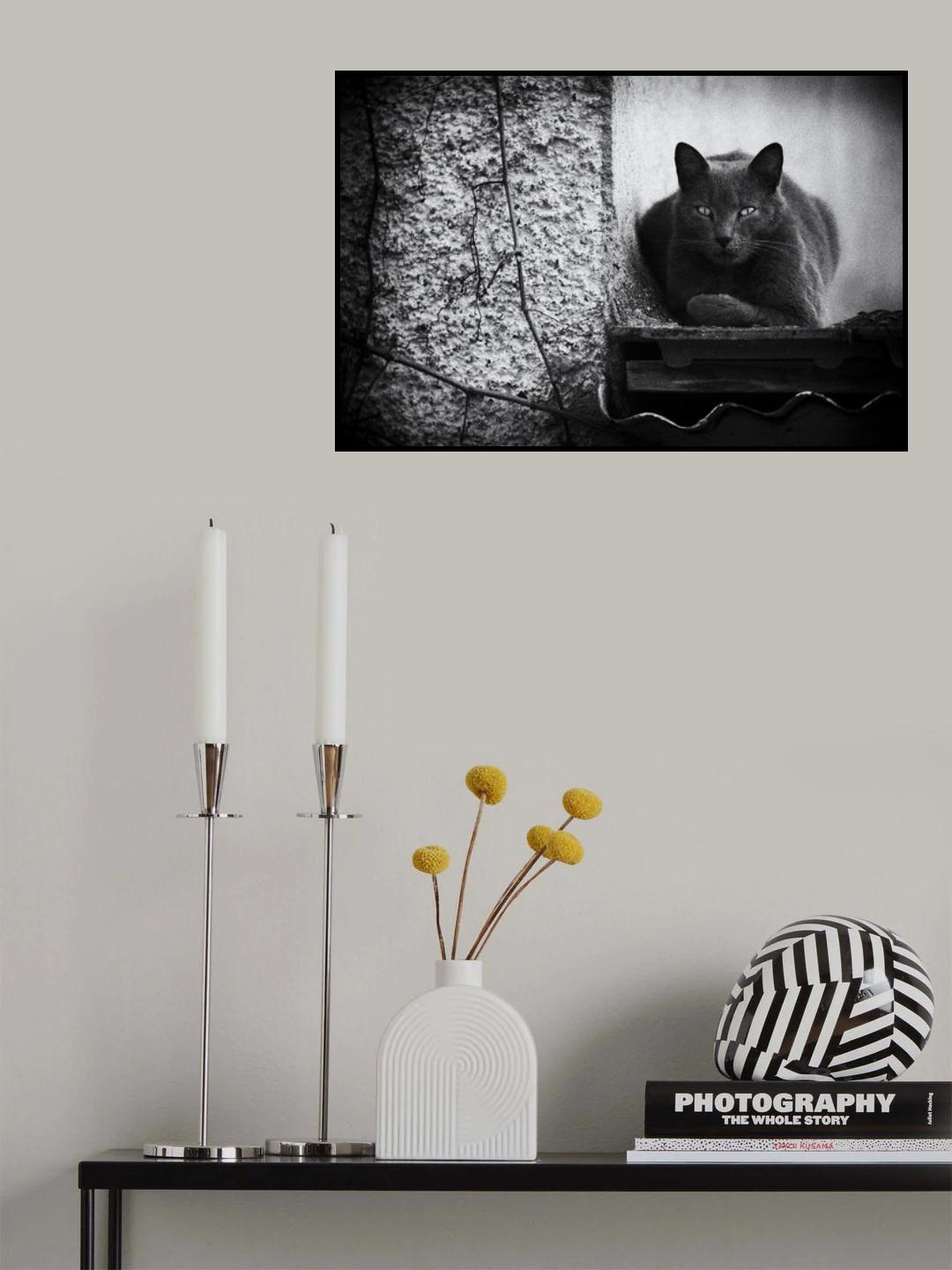 Shava Poster och Canvastavla