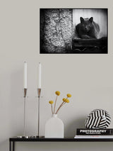 Shava Poster och Canvastavla