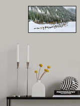 Spring Snow Poster och Canvastavla