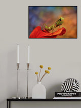 At sunset Poster och Canvastavla