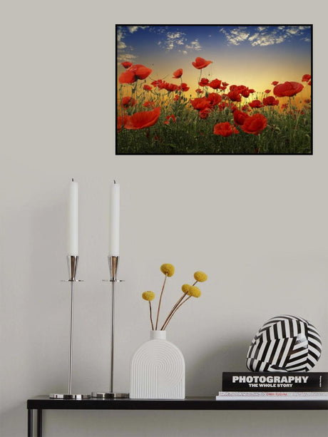 Poppies Poster och Canvastavla