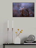 Orchid Mantis Poster och Canvastavla