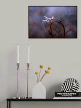 Orchid Mantis Poster och Canvastavla