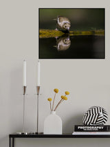 Quiet Poster och Canvastavla