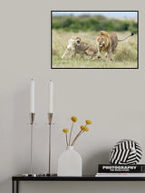 Sweet Action between couple .... Poster och Canvastavla