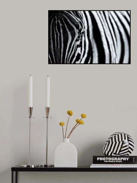 The look of nature Poster och Canvastavla