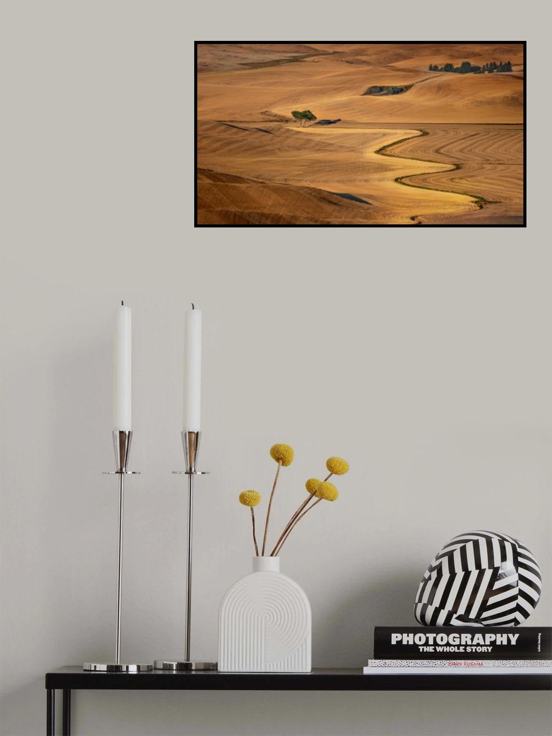 Golden Palouse Poster och Canvastavla