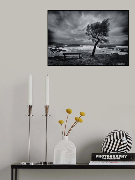 Today no one Poster och Canvastavla