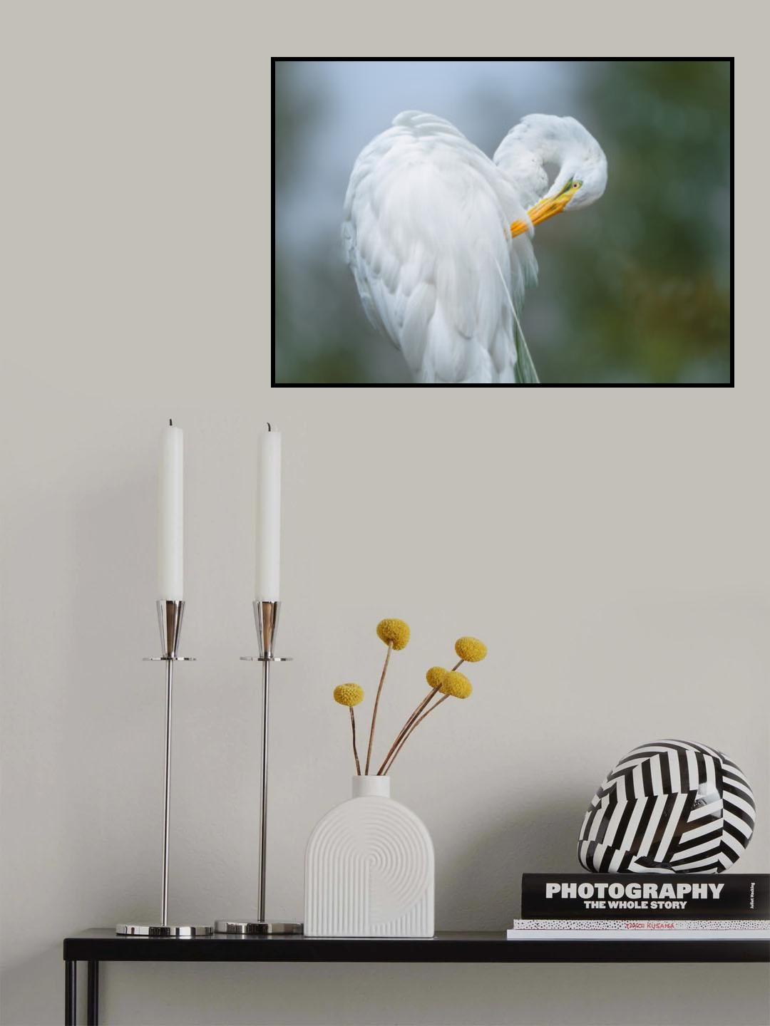 The White Beauty Poster och Canvastavla