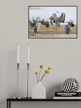 Choosing Me Poster och Canvastavla