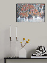 Swamp Cypress Poster och Canvastavla