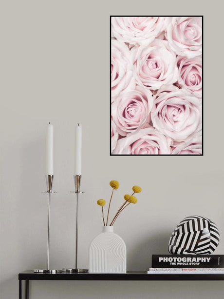 Pink Roses No 03 Poster och Canvastavla
