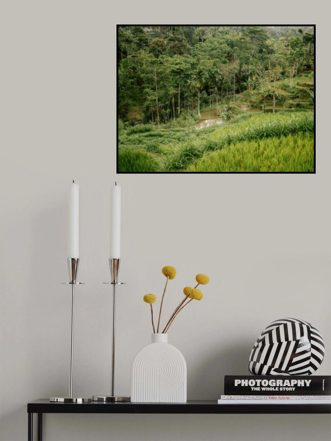 Tetebatu Lombok Poster och Canvastavla