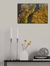 Through autumn Poster och Canvastavla